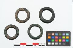 Foto von Bronzering (NHMW-PRAE-025931)